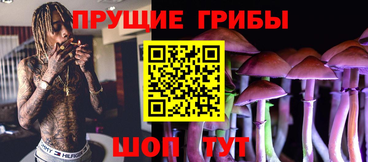 Псилоцибиновые грибы прущие грибы Горно-Алтайск